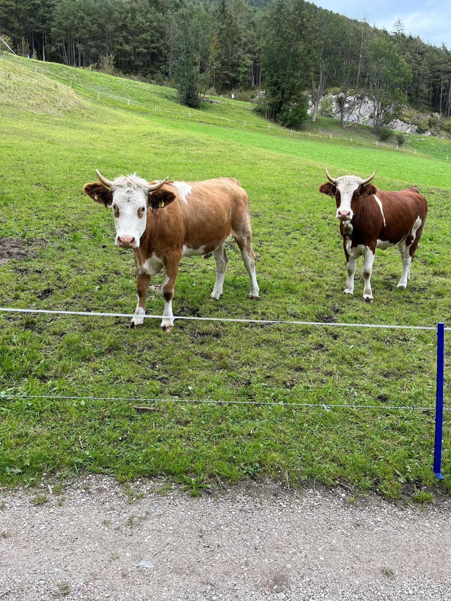 Meilerhof Reith bei Seefeld Buitenkant foto