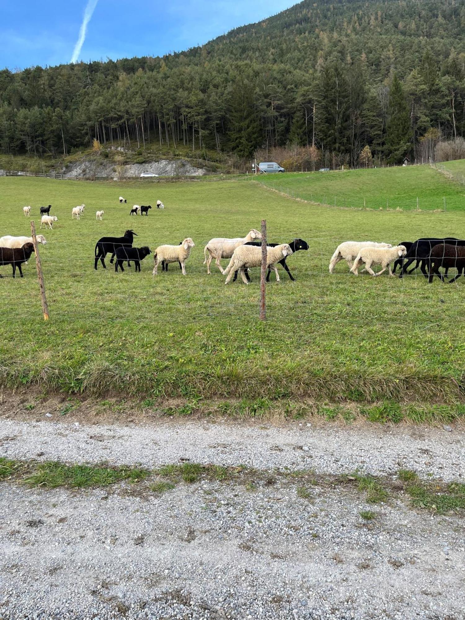 Meilerhof Reith bei Seefeld Buitenkant foto