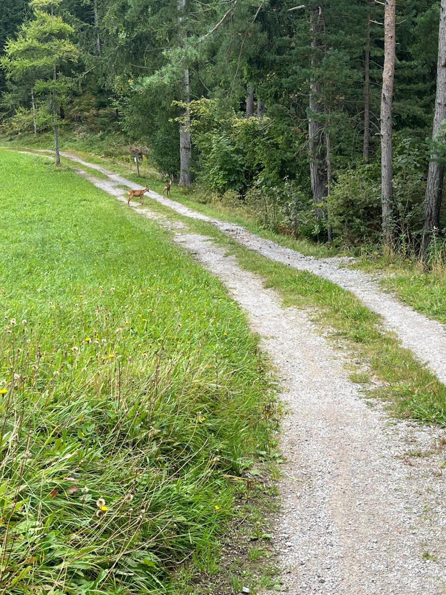Meilerhof Reith bei Seefeld Buitenkant foto