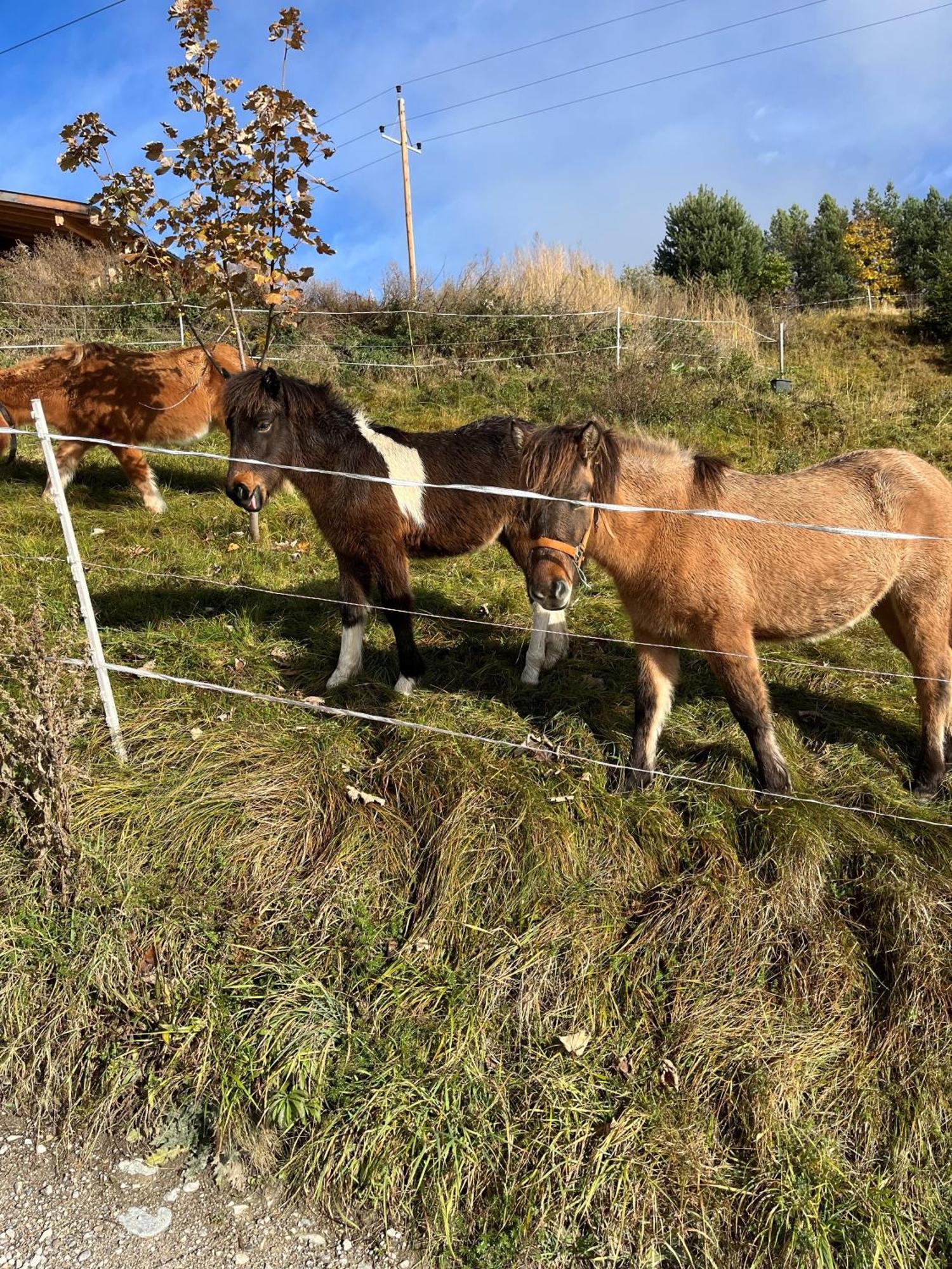 Meilerhof Reith bei Seefeld Buitenkant foto